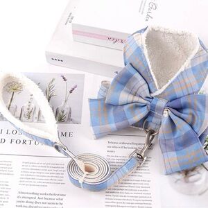 Blue Plaid Bow Tie and Leash Set